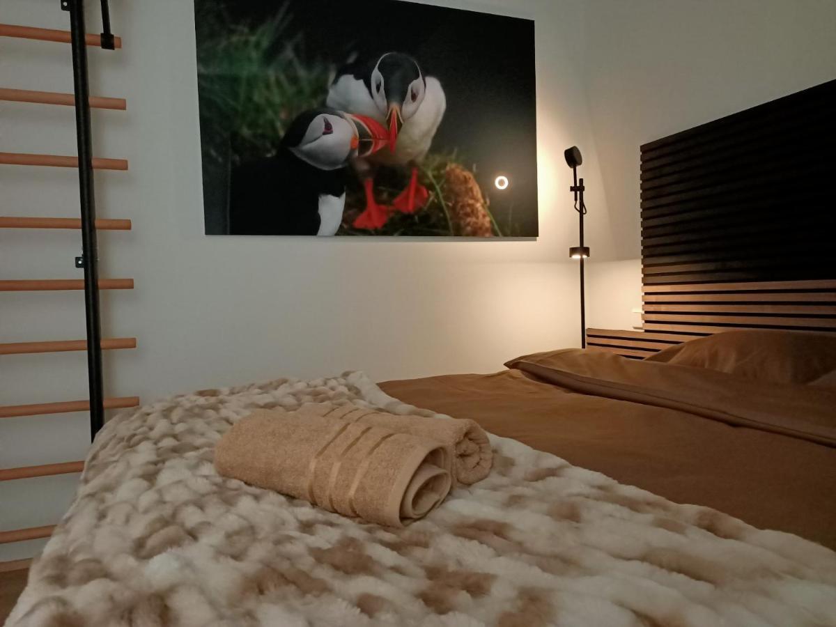 Puffin Nest, Superior Apartment Reykjavík Zewnętrze zdjęcie