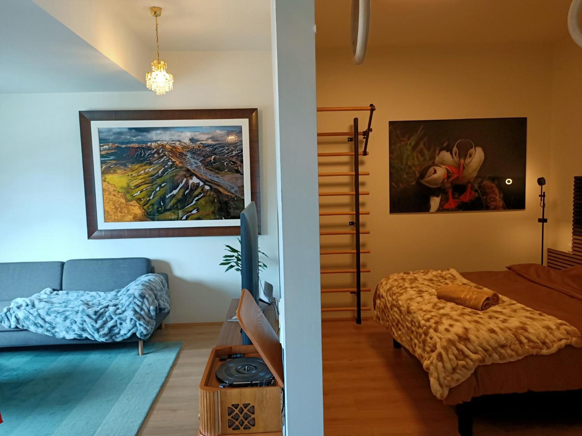 Puffin Nest, Superior Apartment Reykjavík Zewnętrze zdjęcie